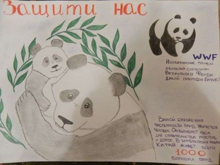 Плакат в защиту Амурского тигра