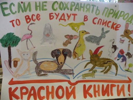 Плакат берегите животных