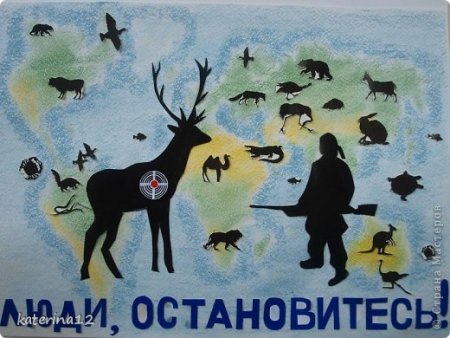 Экология защита животных