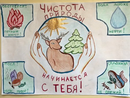 Рисунок на тему заповедник