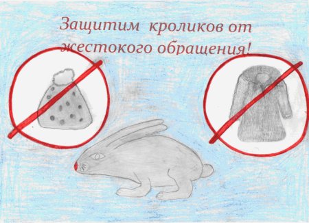 Плакат береги животных