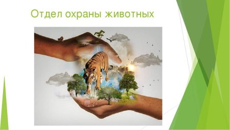 Рисунок на тему берегите животных