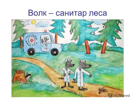 Санитары леса рисунок