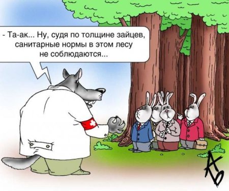 Какие животные являются санитарами леса