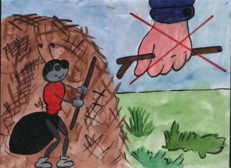 Про муравьев для детей