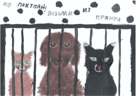 Рисунки бездомных животных
