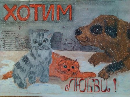 Плакаты в защиту бездомных животных