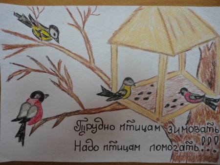 Плакат берегите птиц