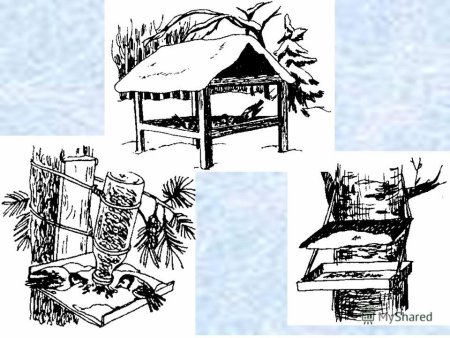 Животные у кормушки зимой