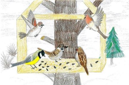 Рисунок на тему помочь зимующим птичкам