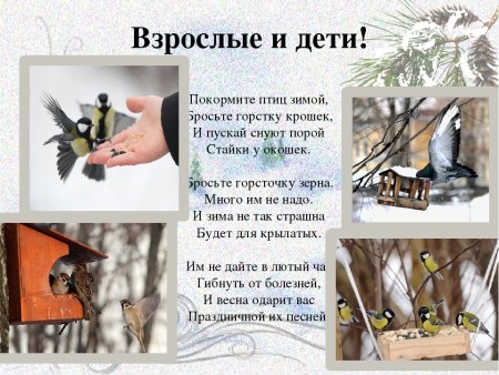 Плакат Покормите птиц