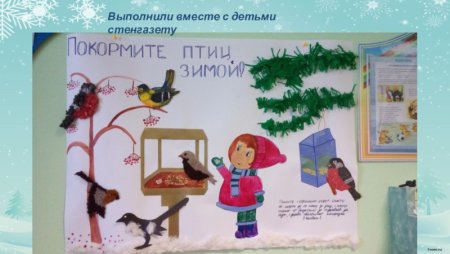 Раскраска кормушка для птиц для детей