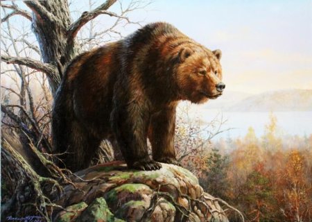 Раскраска Лесные животные