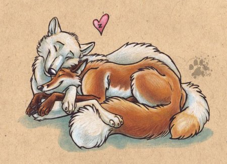Волк обнимает лису