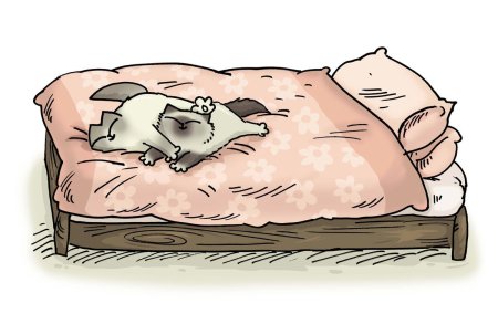 Кот спит на матрасе