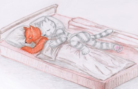 Котики спят вместе рисунок