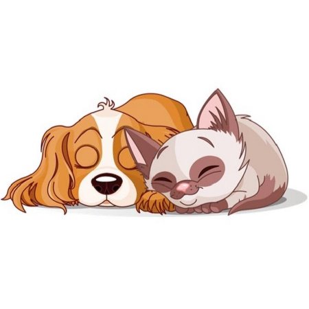Кот и собака мультяшные