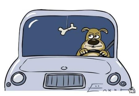 Рисовать в машине собаку
