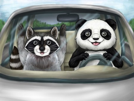 Панда за рулем