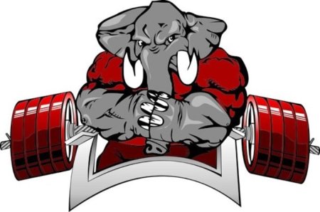 Медведь со штангой