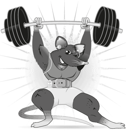 Мышка со штангой