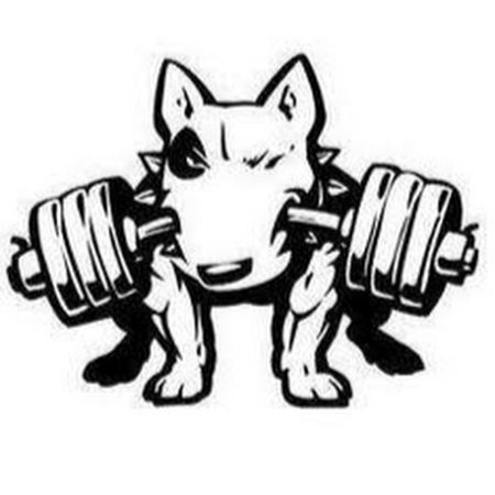 Питбуль с гантелями