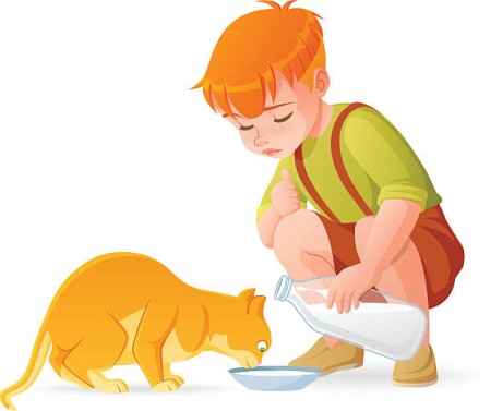 Мальчик кормит кошку