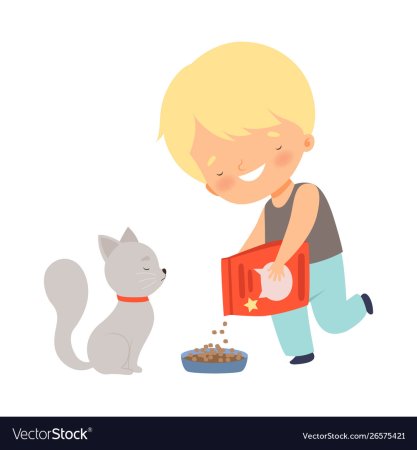 Мальчик кормит кота