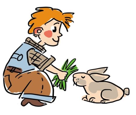 Кормить животных рисунок