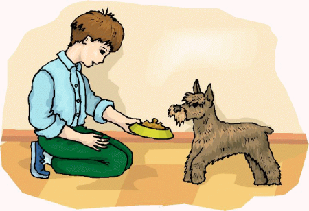 Кормить рисунок