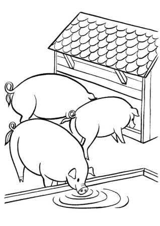 Свинарник раскраска для детей
