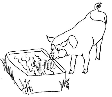 Свинарник раскраска