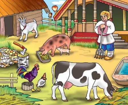 Двор для домашних животных