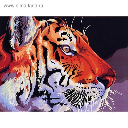 Тигр по номерам на холсте