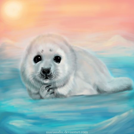 Рисование морской котик