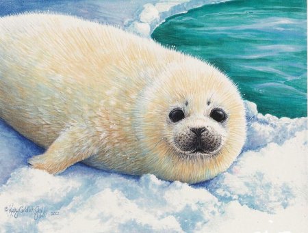 Картина Нерпа Байкальская