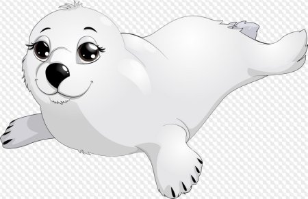 Нерпа вектор