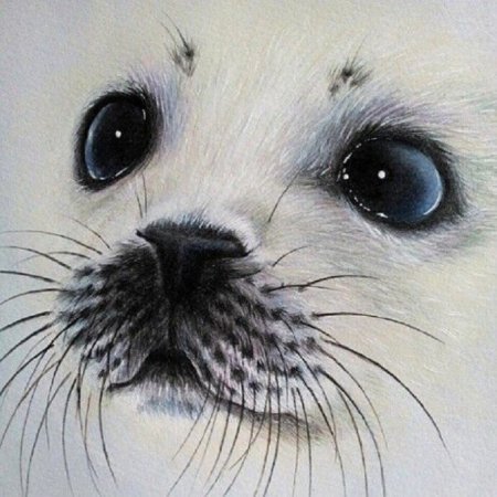 Кейт Мур художница