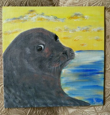 Рисование нерпы