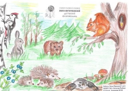 ЗУБР Орловское Полесье рисунок