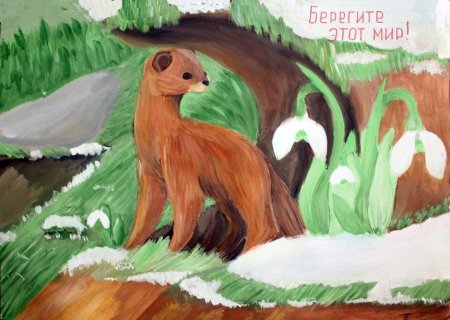 Конкурс рисунков про лес