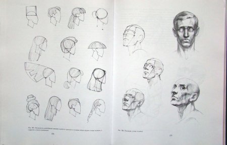 Голова человека. Основы учебного академического рисунка Николай ли