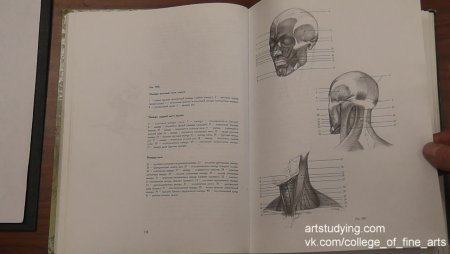 Н ли учебник