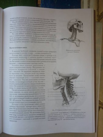 Книгой по голове рисунок