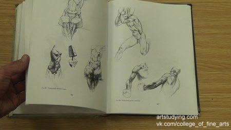 Учебник по классическому рисунку