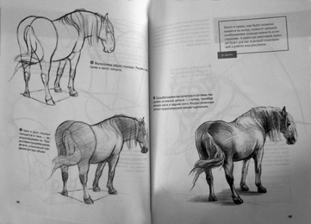 Учебник рисования карандашом