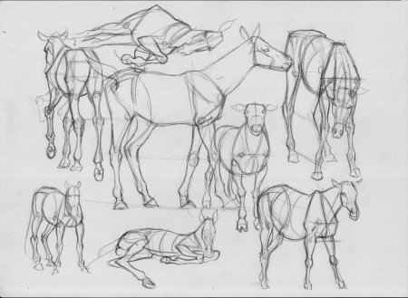 Академические Наброски животных