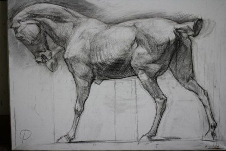 Лошадь Экорше Клодта