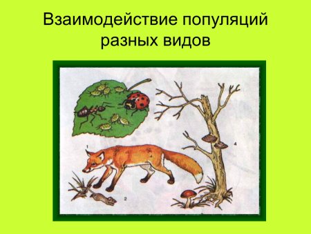 Типы взаимодействия популяций разных видов