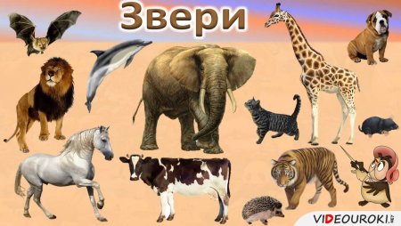 Кляксография животные